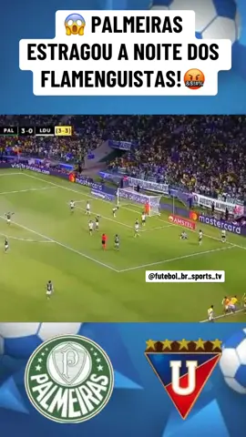 😱 PALMEIRAS ESTRAGOU A NOITE DOS FLAMENGUISTAS!🤬#libertadores #PalmeirasxLdu #racingxflamengo #esporteviral #finalista 