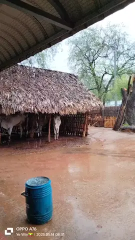 #နေ့စဥ်ပဲလွမ်းစိတ်ပို#လွမ်းတယ်အညာ❤ 