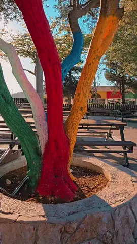 #صباح #CapCut #دروز💚❤️💛💙🤍 #بهاءالدين  صلى الله عليه#دروز