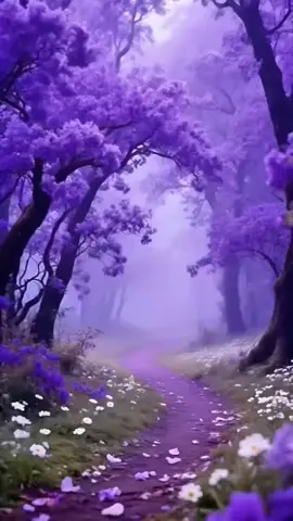 ااسير حلم الخيال