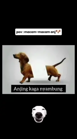 busettt daah bikin emosiayyy