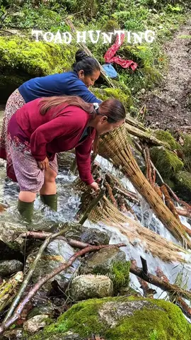 #toadhunting #villagelifenepal #fypシ゚viral #foryoupage #keepsupporting #nepalitiktok🇳🇵 