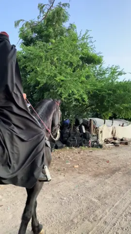 #hallow #jinete #sin #cabeza 