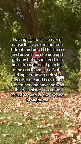 @Joshlynn #sister #fypシ゚viral #ilovemusister #sisterhood 