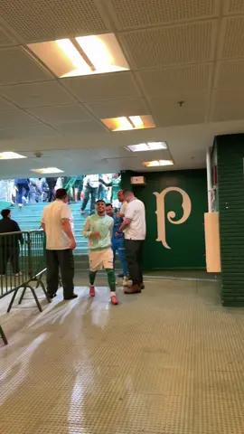 ESTAMOS NA FINAL, FACU! 🇺🇾 #Palmeiras #TikTokEsportes