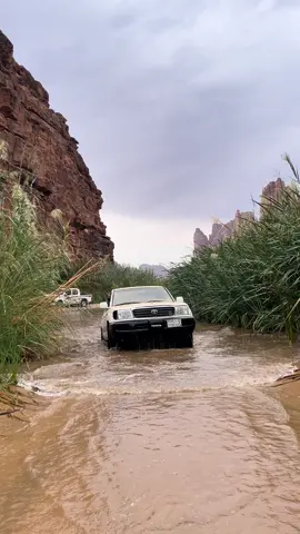 #لاند #تبوك #explore #شعبي 