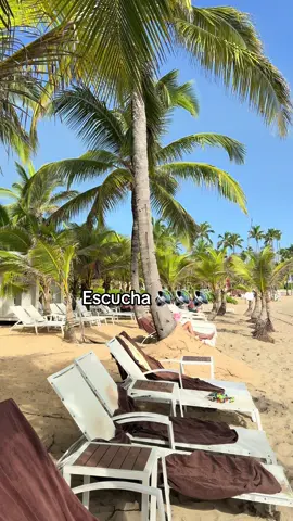 La playa de punta cana siempre va e estar entre mis favoritas. República Dominicana tiene unas playas un agua privilegiada. Con vistas increíbles. Que así las veas todos los días. Cada día le vas a encontrar algo diferente. #puntacana #puntacanaallinclusiveresorts #rd #beachvibes #republicadominicana🇩🇴 