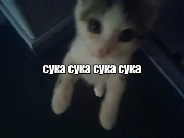 #5mewmet #djtrippieflameboy #рек #рекомендации #fyp 