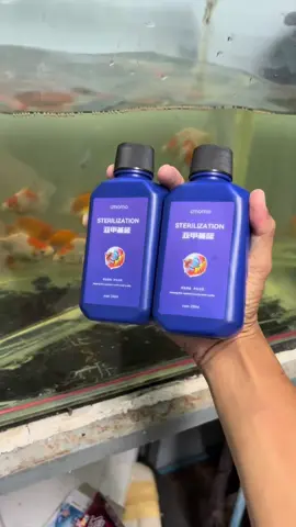 #เมทารีนบูล#ยาปลา#เมทิลีนบลู #กักโรค