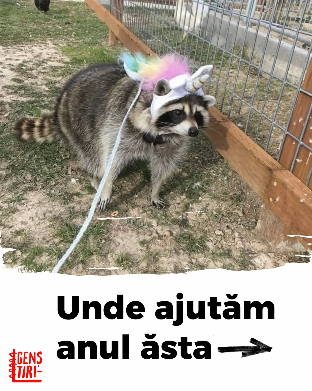 Lista cu toate locurile de voluntariat este în bio, cu tot cu link-uri 🫡✨ ㅤ Tu unde pui umărul la schimbare? Spune-ne în comentarii. ㅤ #genștiri #știri #tineri #romania #viral  