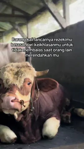 wallahualam 🤲🏻 #fyp #masyaallahtabarakkallah #sapiviral 