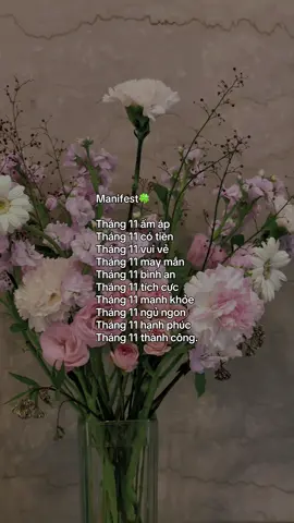Tháng 11 có tất cả🍀🌷 #suyymottchut #viral #fyp 