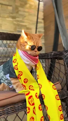 275 💛 #fyp #pdk #parti #kurdistan #275 