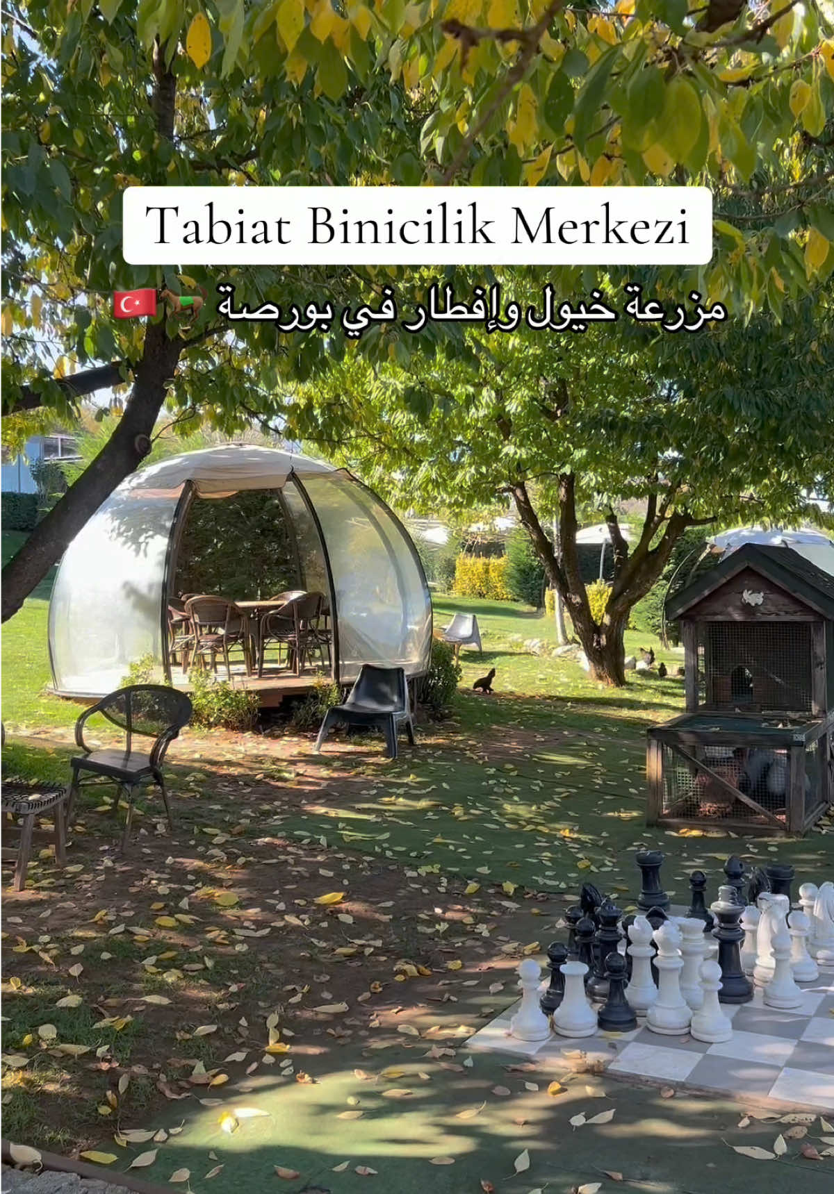 مزرعة خيول وإفطار وسط طبيعة في بورصة 🐎🍃 حلوة خاصة بموسم الربيع والخريف  #bursa #بورصة_جبل_أولداغ #تركيا🇹🇷 #بورصة #بورصة_تركيا 