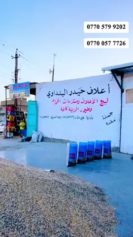 #راجلي_يلغي_كل_رجال_من_حياتي😍♥️👑 #الشعب_الصيني_ماله_حل😂😂🙋🏻‍♂️🇧🇭_ 