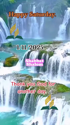 Happy Saturday good morning happy Sabbath 1/11/2025 #happysaturday #happysabbath #goodmorning #moraash124 #wisheszone 