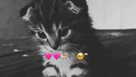 #fyp #foryou #Mario❤️❤️ #viraltiktok 