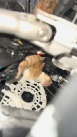 Welp there goes my day and my car🥲 #fyppppppppppppppppppppppp #explorepage✨ #explore #fyp 