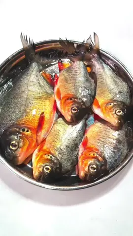 Fish lovers ,🤤🤪#tiktokcooking #tiktokfood #viral #MustTry #fyp 
