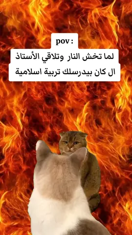 #CapCut #Meme #MemeCut #فيديوهات_مضحكه #الشعب_الصيني_ماله_حل😂😂 