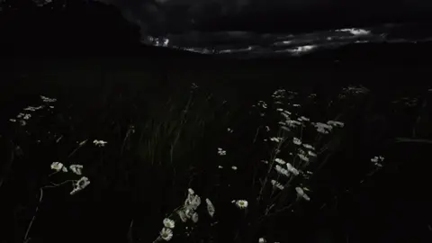 Cơn gió vô tình đã cuốn trôi hạnh phúc..#nkn29th01 #66đồngtháp #chillmoingayy #tamtrang 