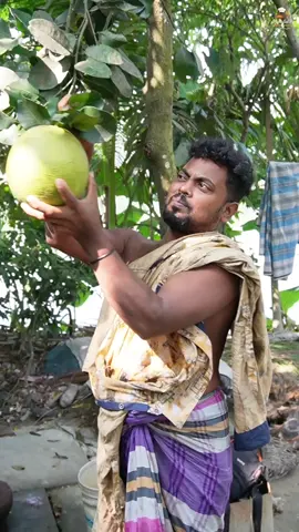 🍊✨ টক-মিষ্টির ভালোবাসা – জাম্বুরার পায়েস 🍮❤️#creatorsearchinsights #foryou #fyp #trendingnow #viralfood @Asraful’s Recipe World 