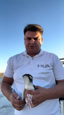 Keşfet TikTok@Yusuf✌️ bu da sana gelsin kralsın👑✌️