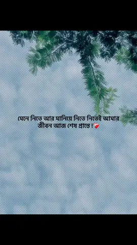 মেনে নিতে আর মানিয়ে নিতে নিতেই আমার  জীবন আজ শেষ প্রান্তে !❤️‍🩹#foryou #trending #banglacaption #popularvideo #captionvedio 