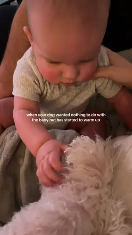 At least she’s not running when the baby gets near.. PROGRESS! #dogtok #dogandbaby #babyfever #babyoftiktok #momtok 