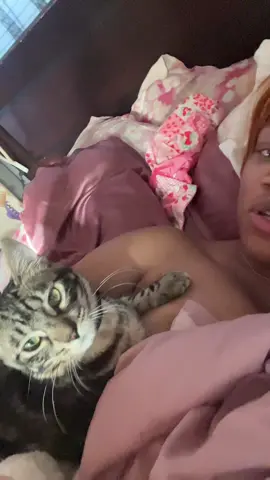 Mr whiskers is a mess 