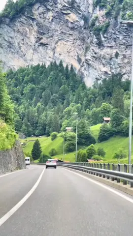 #romania🇷🇴 ##romaniatiktok #adevarul #fypppppppppppppp #lasfierbinti @calin.georgescu.real @GEORGE SIMION @Zidaru Virgil (Makaveli) @Makavelika @OTV @BobbyD Ziarist Independent 