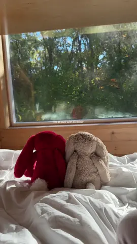 the hardest goodbye 🤎  #october #fallaesthetic #fall 