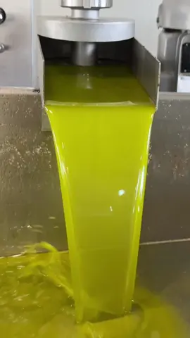 Uleiul de măsline cu gustul perfect echilibrat — fructat, ușor iute și plăcut amărui. Obținut cu grijă, din măsline Koroneiki, proaspăt presate pe însorita insulă Creta, în zona Mesara. Îl găsești pe www.dolive.ro — cu transport gratuit și o olivieră lucrată manual, cadou. Intră acum și bucură-te de gustul viu al livezilor din Creta. #dolive #david #uleidemasline #gustulviu 