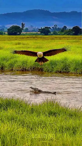 ##fyp #varil #foryou #500kviews #photography 