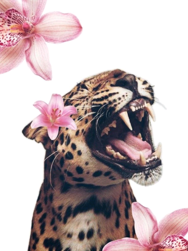 #beautyandbrains #fyp #withoutmusic #cleangirl #thatgirl 