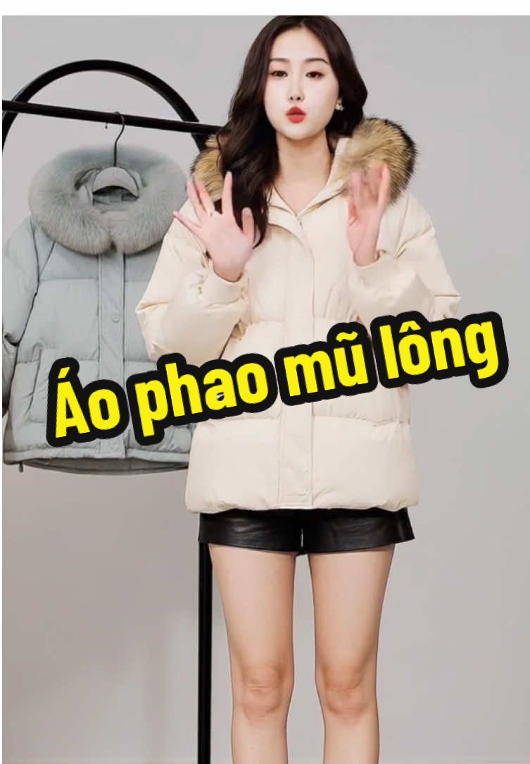 #aophaomuadong #aophaohanquoc #aophaonu #aophaobeo 