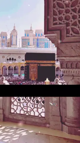 اللّٰہ ھو اللّٰہ ھو اللّٰہ ھو ❤️🌹 #Allahhu #nfakstatus #nfak_qawali #viralvideo #foryoupage 