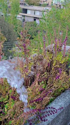 #fyp #tiktokgiaitri #virall #foryoupageofficiall ###