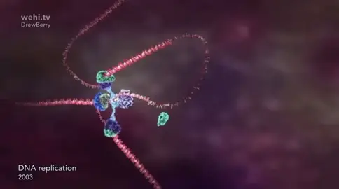 step on up to this crazy love 🧬🧬 step on up ariana grande x gimme more britney spears #fyp #neuronerd #apbio #Science #classof2026 