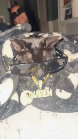 Happy Halloween 😂 #fyp #fypシ #halloween #fypシ゚viral  #funny 