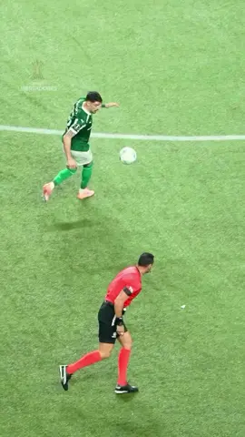 #palmeiras#libertadores 