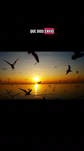 #amor#conquista#pareja#nuevasoportunidades#relacionesdepareja 