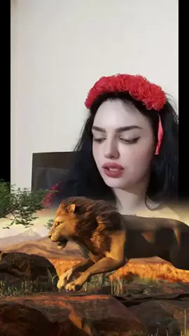 #إكسبلوورر✌️🔥🔥😌😌🥰🥰❤️❤️💖💖متابعيني #المانيا🇩🇪 #هولندا🇳🇱 #فلسطين🇵🇸 #دبي🇦🇪 دلوعا ملكا