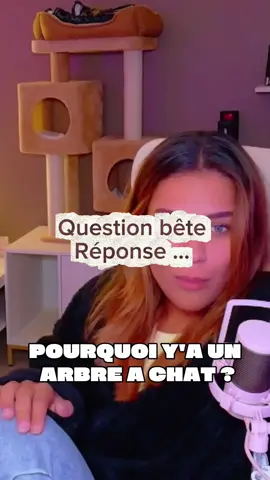 Des fois je sais pas en faite ..