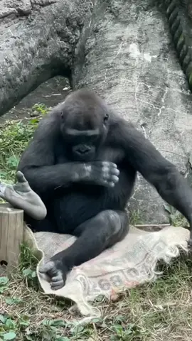 sabtu malam ku sendiri#aslamualaikum #hiburan #fypシ゚viral 