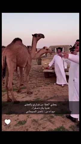 #اورنس_عبدالعزيز 