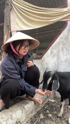 Đừng làm đau ai thêm chỉ vì một câu nói một lời bình luận Bạn không biết người ta đang cố gắng đến mức nào đâu. Tôi chưa bao giờ nghĩ rằng một phần riêng tư trong cuộc đời mình lại trở thành câu chuyện để người ta bàn tán công khai. Có người nói tôi ngu ngốc, nhẹ dạ, đáng bị vậy. Nhưng họ không biết rằng khi yêu, ai cũng muốn tin người mình thương là an toàn nhất. Tôi không tìm kiếm sự bênh vực, tôi chỉ mong một chút im lặng – để tôi có thể thở, có thể sống tiếp mà không phải sợ mỗi khi mở mạng xã hội. Tôi không cần ai phải nói tốt cho tôi. Chỉ cần ai đó hiểu rằng, phía sau những dòng bình luận kia là một con người thật – đang tổn thương, đang run rẩy, nhưng vẫn cố tỏ ra mạnh mẽ. Tôi chỉ mong được sống một cách bình thường, như trước kia. Chỉ thế thôi.” #quynhmaidangnuoihocphi #fyp #quynhmai 