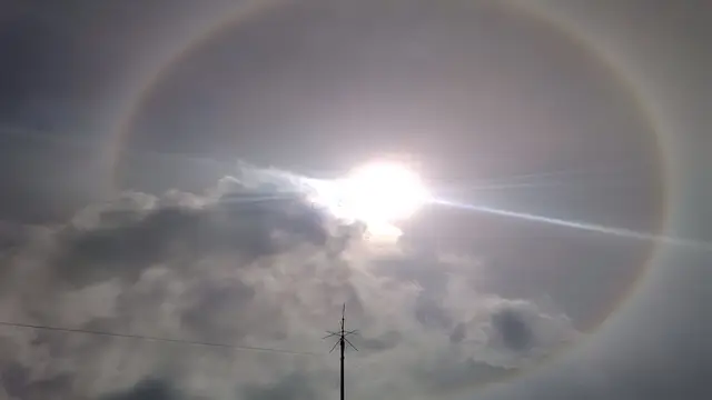 resolution 2560x1440p 2K 🌿 Tg in the profile 🌿 #wallpaper #pc #song #music #whysoetude 