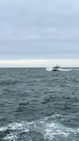 There he goes headed in heavy! #fyp #southshore #fpt #foryoupage 