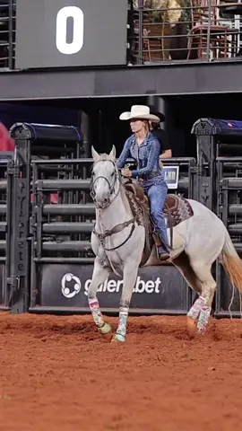 #cavalo #egua #ptrolpamp #potro #abqm 